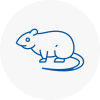Rat Control Rotherham