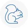 Rotherham Rodent Removals